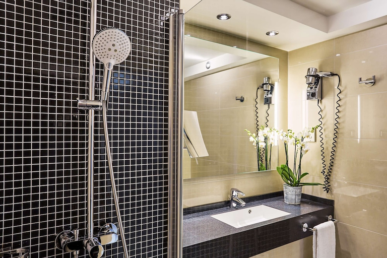Bathroom 3, Radisson Blu Conference Hotel, Dusseldorf, Düsseldorf