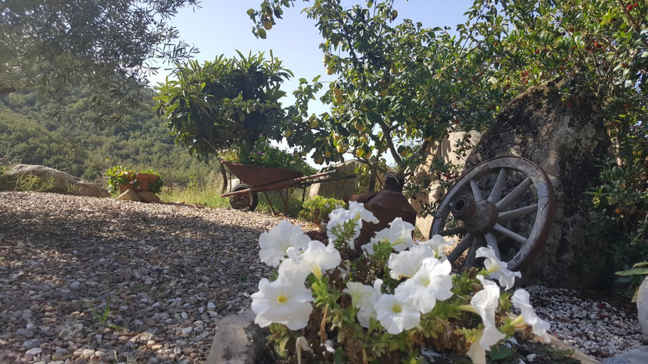 Others 5, B&B Casa Vacanza Centro Sardegna, Nuoro