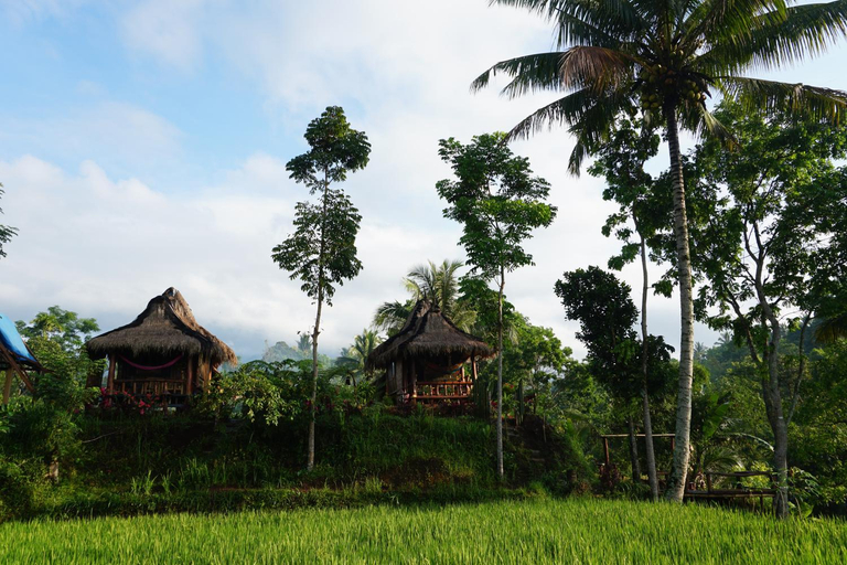 Others 5, Satu Lingkung, Lombok