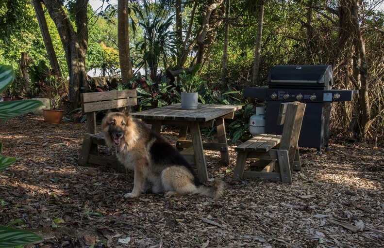 Others 2, Maleny Hills Motel, Caloundra - Hinterland