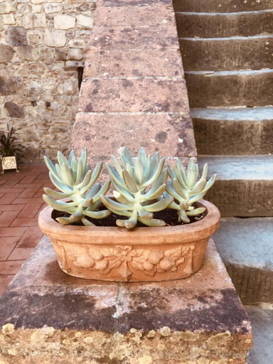 Others 4, MEA CASA Toscana, Siena