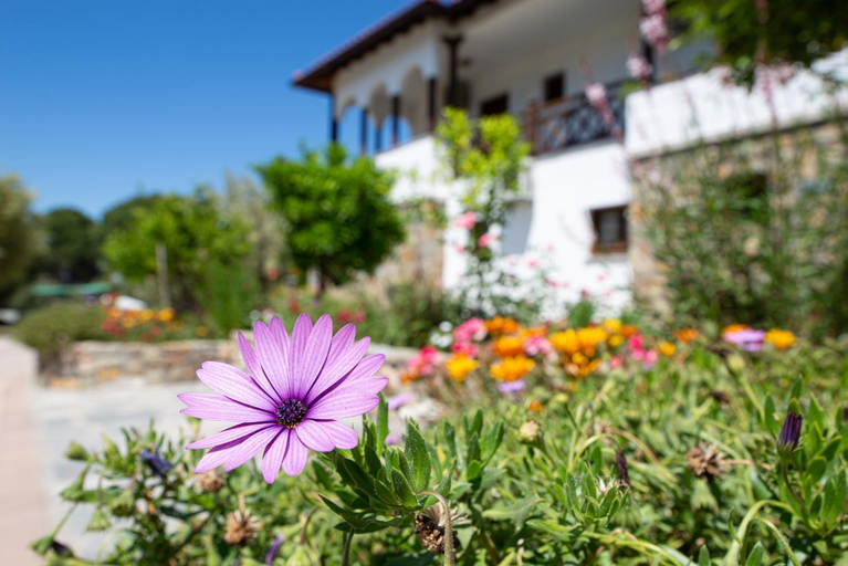 Exterior view 2, Garden House Psarogiannis, Central Macedonia