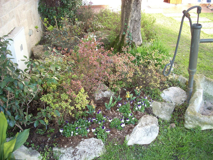 Others 3, Alle Grazie, Treviso