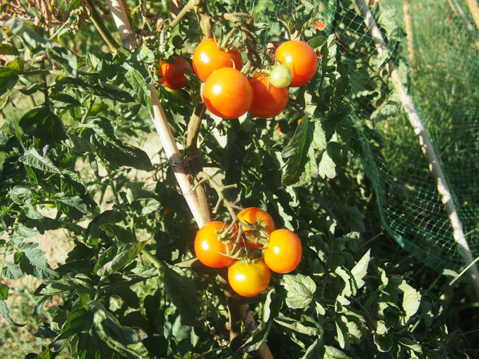Others 3, Agriturismo Ardizio 43, Pesaro E Urbino