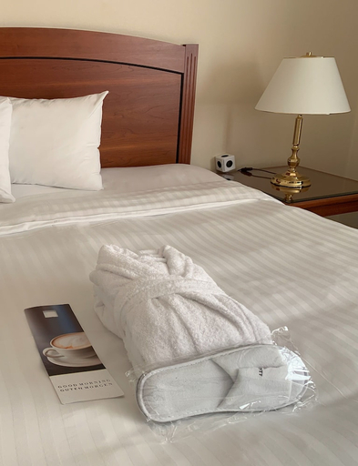 Bedroom 3, Leipzig Marriott Hotel, Leipzig