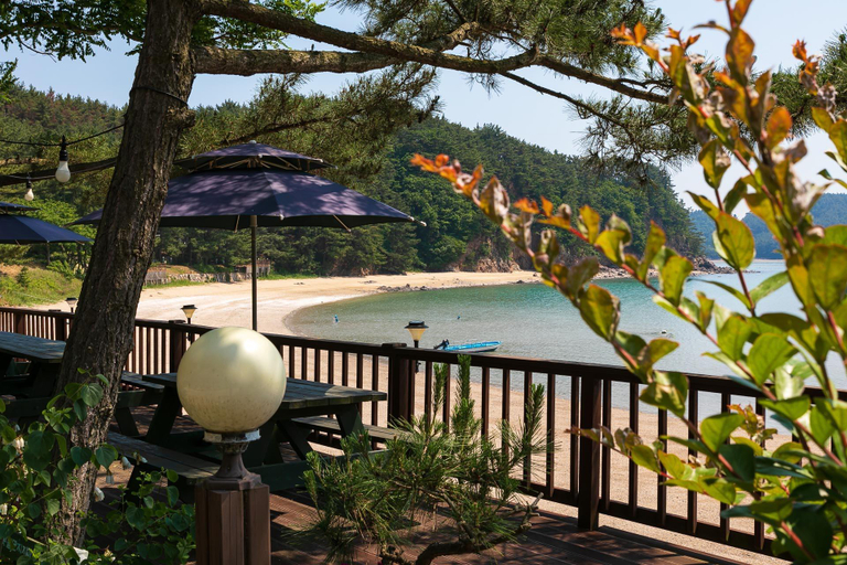 Others 5, Healing beach pension, Taean