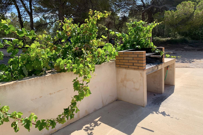 5, Aptos rurales Can Pep de Sa Barda - Vinedos y tranquilidad, Baleares