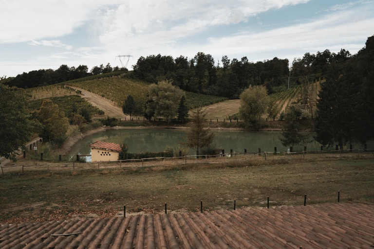 Others 3, Valditerra Vini - B&B La Rombetta, Alessandria