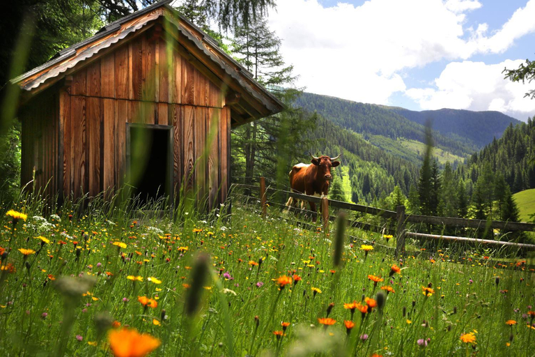 Others 2, Gasserhutte, Spittal an der Drau