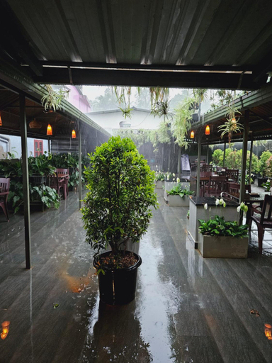 Food & Drinks 5, Hotel Mayo, Wayanad