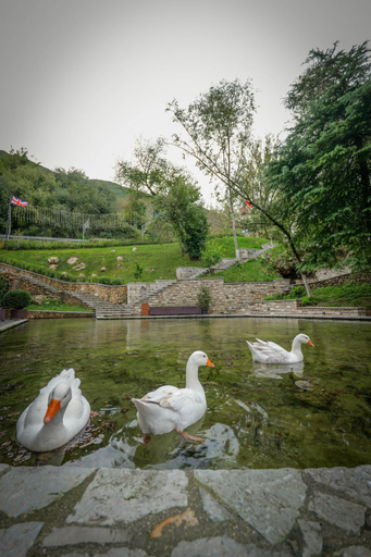 Others 4, Hotel Uji Ftohte Tepelene, Tepelenës