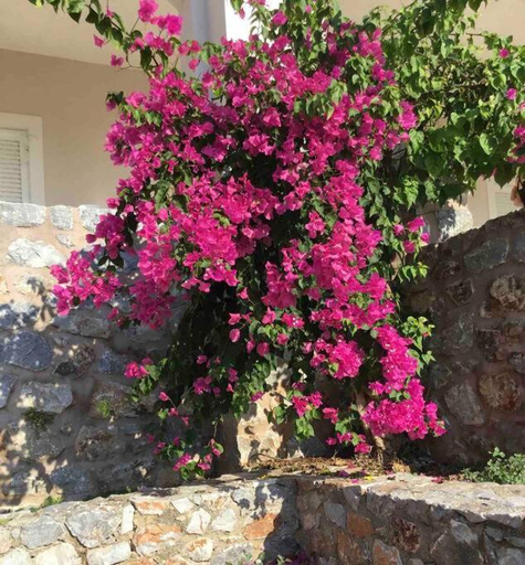 2, Villa Itilo, Peloponnese