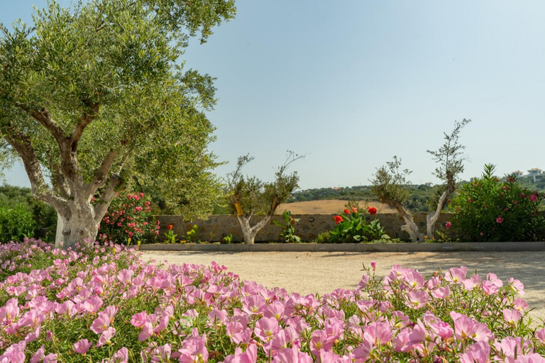 Others 5, Achilles Hill Hotel, Peloponnese