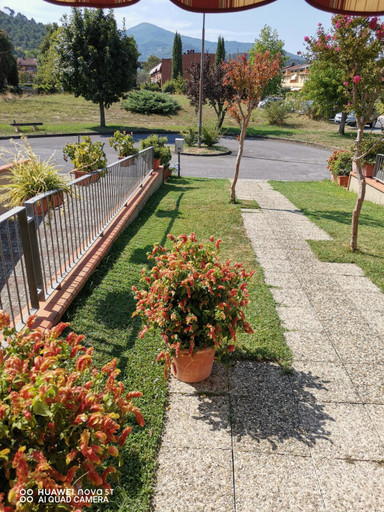 Exterior & Views 5, Villetta Camelia, Lucca
