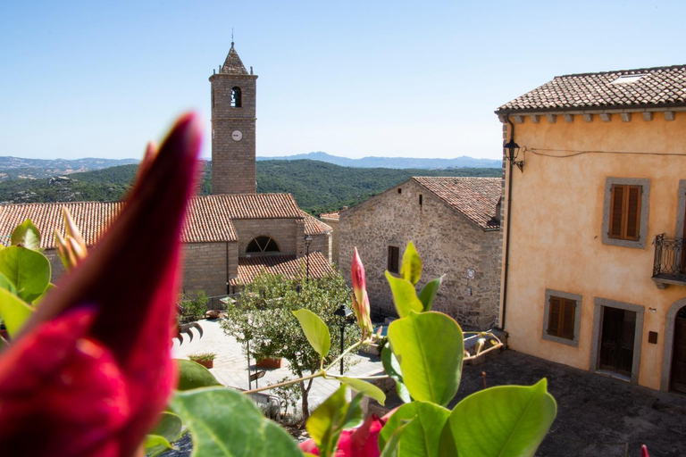 Others 5, Bed & Breakfast Zia Menga - Luogosanto Sardinia, Olbia-Tempio