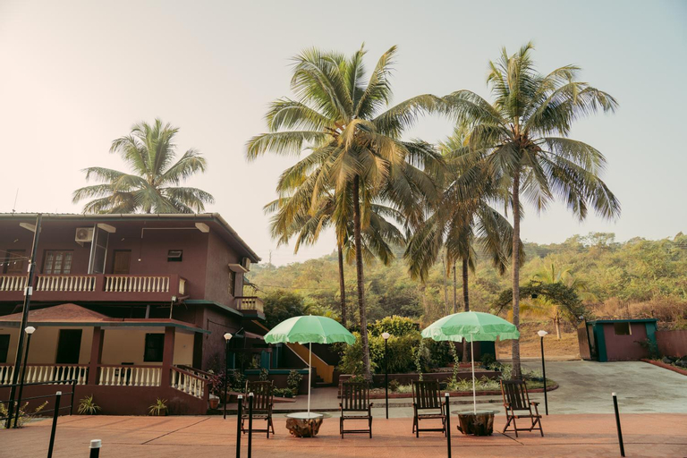 Silent valley nest, North Goa