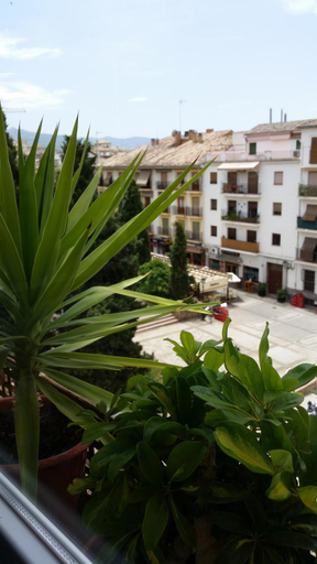 Others 5, Hostal la Ninfa, Granada