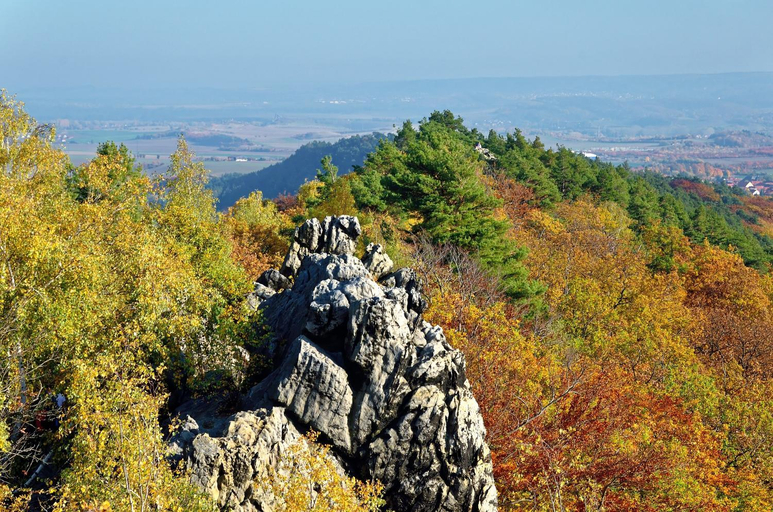 Surrounding environment