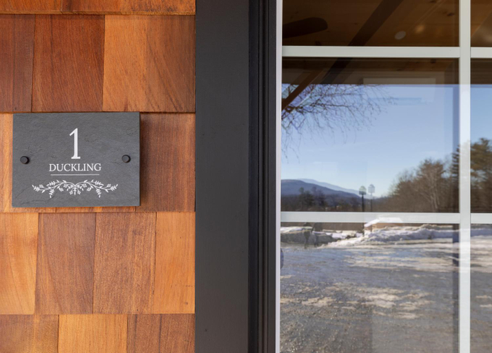 Others 3, The Lodge by Sunapee Stays, Sullivan