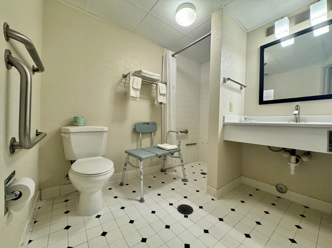 Bathroom 4, Quality Inn & Suites Alexandria, Douglas