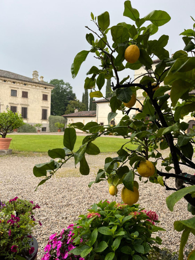Others 5, villa d'arco apartment, Verona