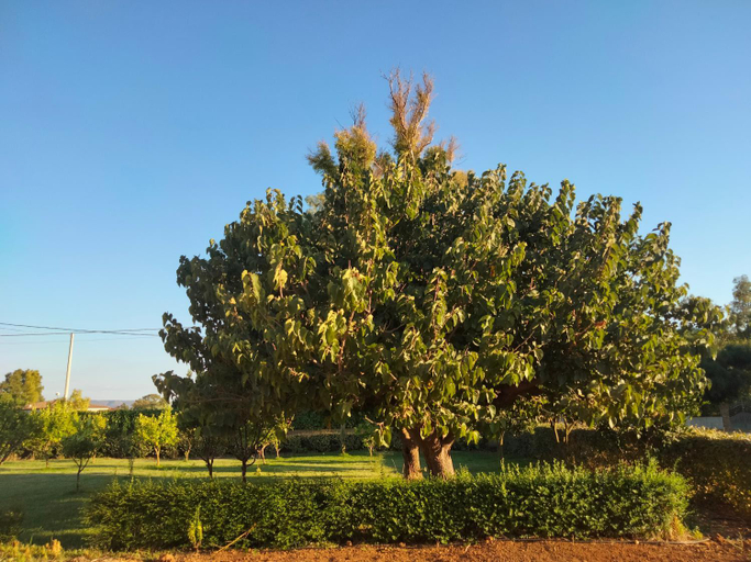 Others 4, Agriturismo i doni del mandorlo, Sassari