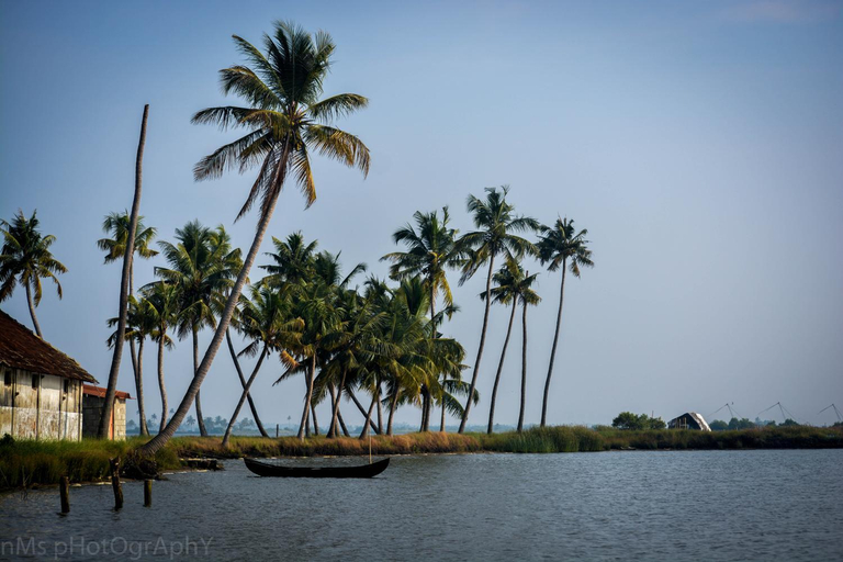 Surrounding environment 4, Maliyakal Homestay, Ernakulam