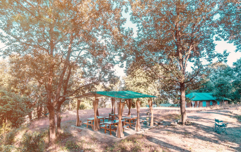 Food & Drinks 4, Nayalap - Rural Himalayan Glamping, Almora