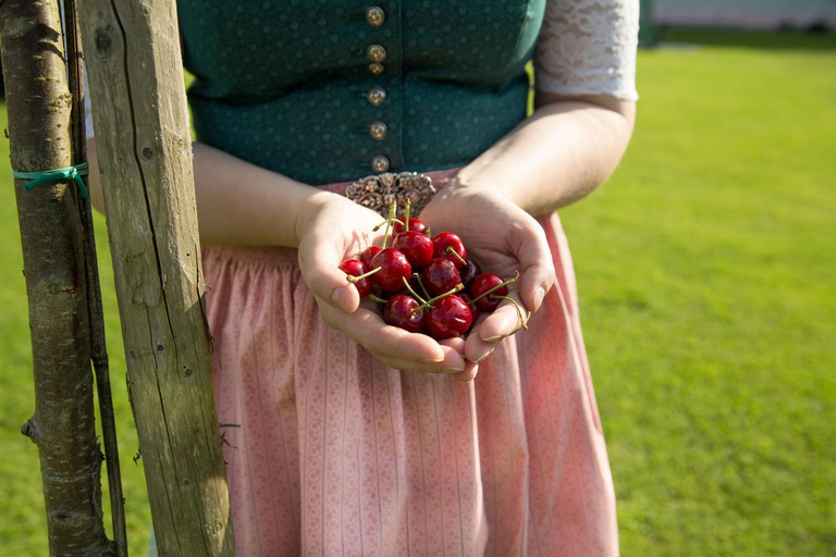 Others 2, Obstgarten Gastehaus, Amstetten