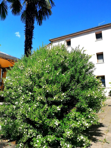 Others 4, Agriturismo Da Andreina, Treviso