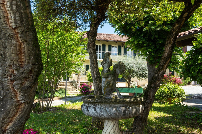 Others 3, Alba Morus, Cuneo
