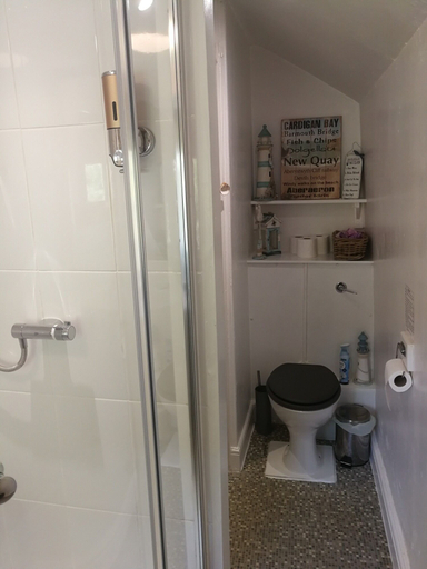 Bathroom 3, Yr Hen Farcdy Bed & Breakfast, Gwynedd