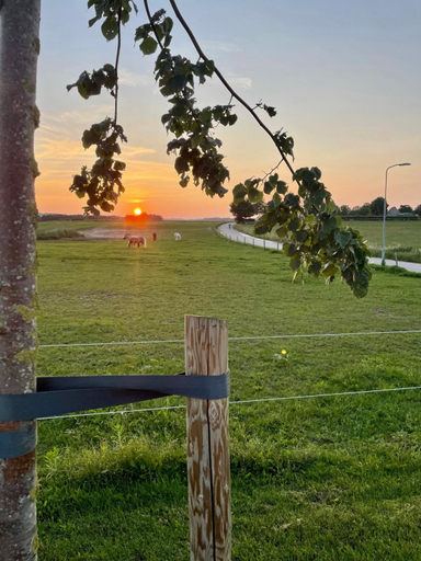 Others 4, Camping Lagewald Vakantiehuis, Groesbeek