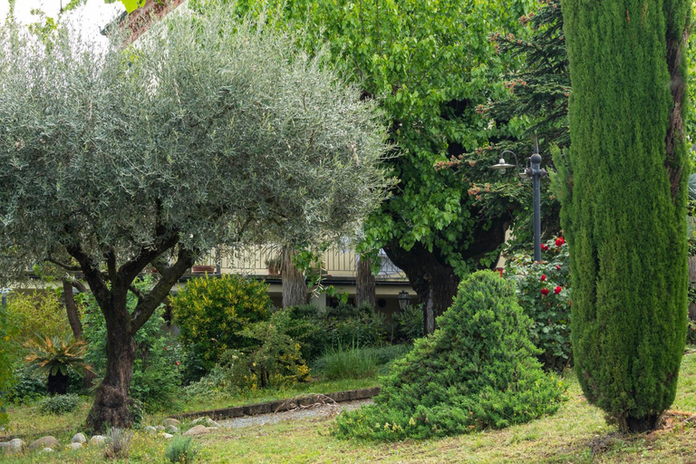 Others 5, Alba Morus, Cuneo