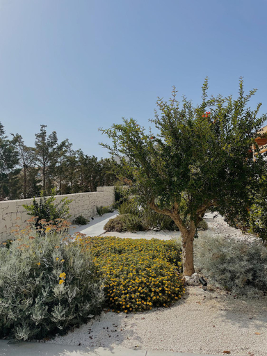 Others 4, CIRERA SICILY, Syracuse