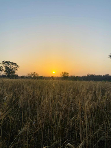 Others 3, Chandera Kothi, Tikamgarh