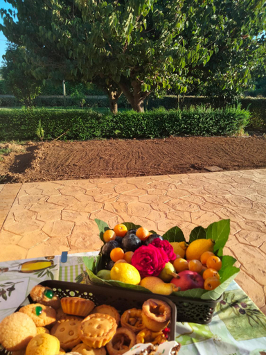 Others 5, Agriturismo i doni del mandorlo, Sassari