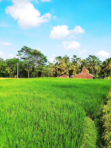 Scenery 3