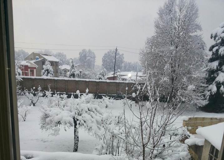 Others 4, The GoodFind Residency, Srinagar