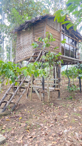 5, Lotus Jewel Forest Camping, Wayanad
