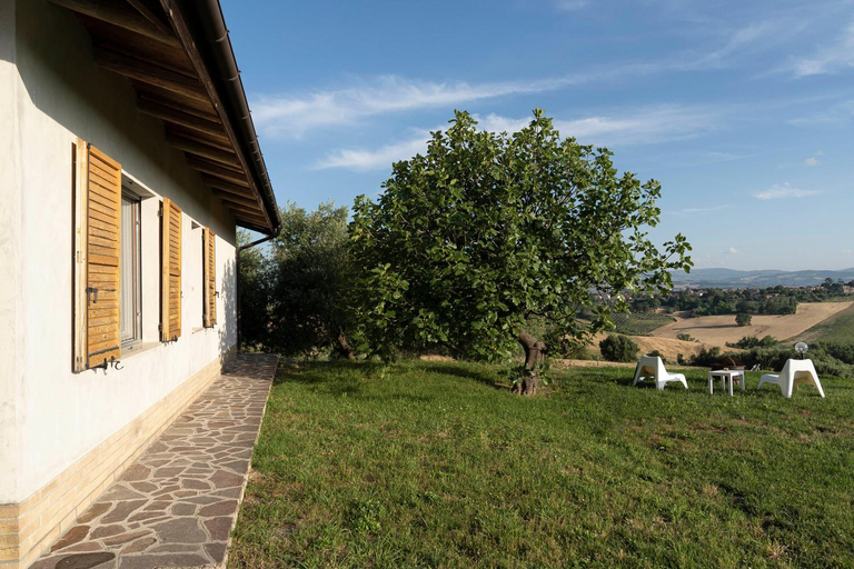 Others 4, B&B La Figuretta, Ancona