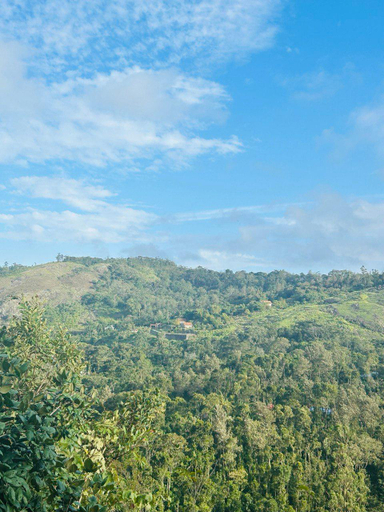 Others 3, Elenor Cottages, Idukki