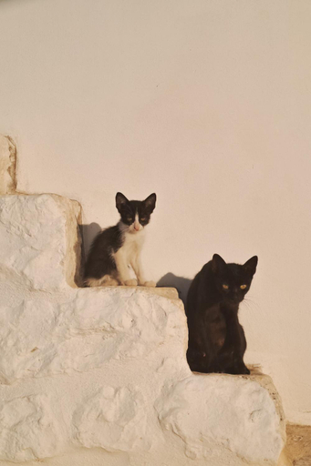 Others 5, Nostos Trulli, Bari