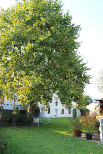 B&B Lory's Dream, Pordenone