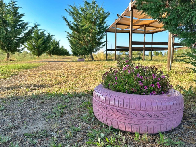 Others 5, Agriturismo il Pianetto, Grosseto