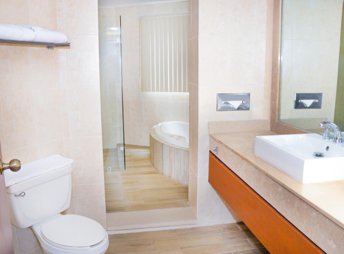 Bathroom 5, Hotel Viva Villahermosa, Centro