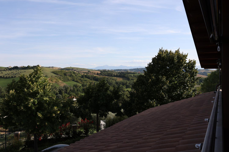Others 5, Bed and Breakfast a casa di Valerio, Teramo