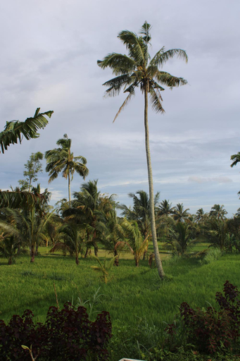 Others 3, Santai House, Lombok