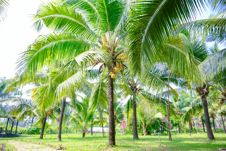 Others 3, LA PAIR BOUTIQUE Resort Phan Thiet, Hàm Thuận Nam