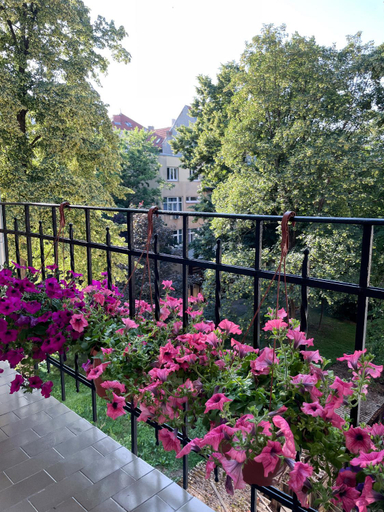 Others 5, 3 Bedroom apartment Zagreb center, Zagreb